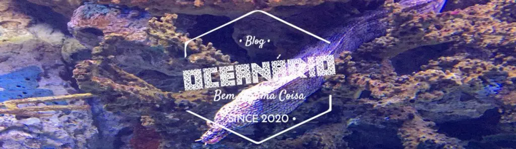 CAPA OCEANARIO Portugal Bem Alguma Coisa