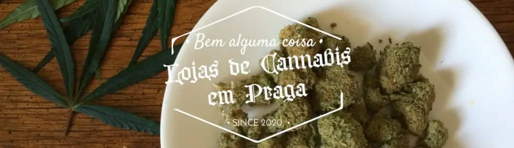 ARTIGOS DE Cannabis LOJA Praga República Checa /Tcheca Bem Alguma Coisa CAPA